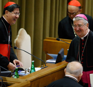 synod6